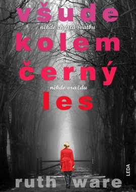 Obálka k VÅ¡ude kolem Äerný les