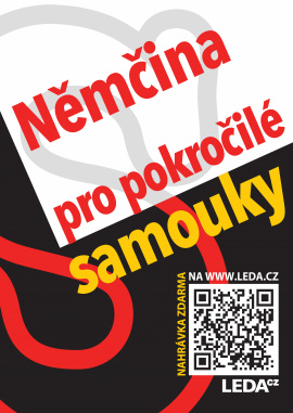 Obálka k Němčina (nejen) pro samouky